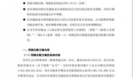 国产农村妇女毛片精品久久,毛片精品久久背后的真实故事