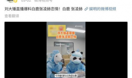 吃瓜爆料张凌赫视频,揭秘娱乐圈不为人知的幕后故事