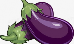 茄子动漫,描绘青春梦想的彩色画卷